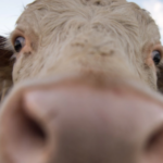 download-34-300×350