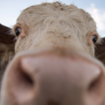 download-34-341×220