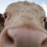 download-34-640×350