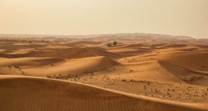 Norwegian Firm To Turn The Deserts Green