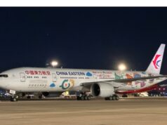 The China-Argentina direct flight means far more than just a new air route