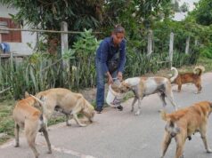 Thai villagers stay behind to guard empty homes as border clashes force mass evacuations